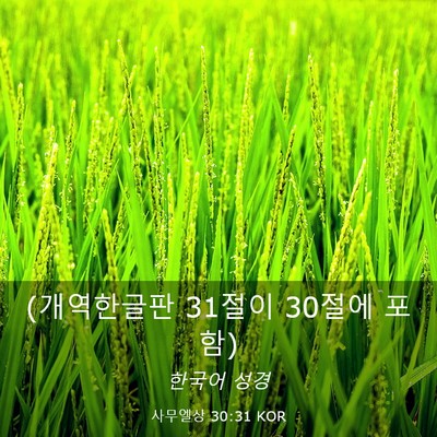 Picture 03 - 사무엘상 30:31 KOR - (개역한글판 31절이 30절에 - Bible Verse Picture