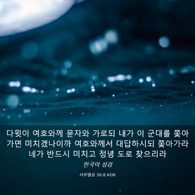 Picture 03 - 사무엘상 30:8 KOR - 다윗이 여호와께 묻자와 가로되 내가 - Bible Verse Picture