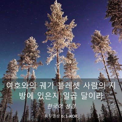 Picture 03 - 사무엘상 6:1 KOR - 여호와의 궤가 블레셋 사람의 지방에 - Bible Verse Picture