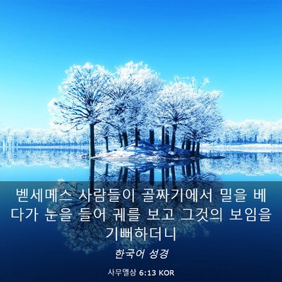 Picture 03 - 사무엘상 6:13 KOR - 벧세메스 사람들이 골짜기에서 밀을 - Bible Verse Picture