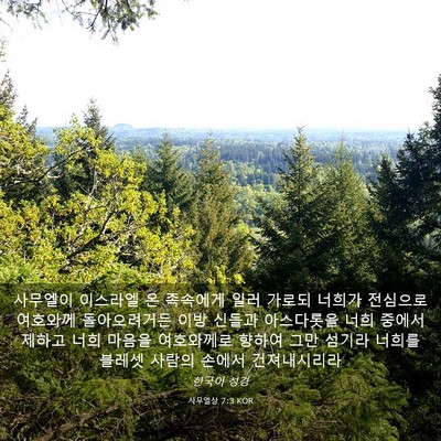 Picture 03 - 사무엘상 7:3 KOR - 사무엘이 이스라엘 온 족속에게 일러 - Bible Verse Picture