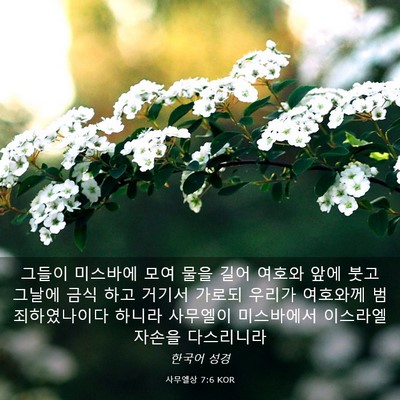 Picture 03 - 사무엘상 7:6 KOR - 그들이 미스바에 모여 물을 길어 - Bible Verse Picture