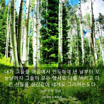 Picture 03 - 사무엘상 8:8 KOR - 내가 그들을 애굽에서 인도하여 낸 - Bible Verse Picture