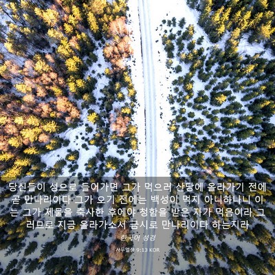 Picture 03 - 사무엘상 9:13 KOR - 당신들이 성으로 들어가면 그가 - Bible Verse Picture