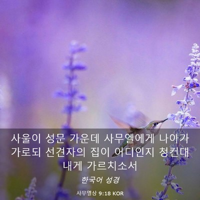 Picture 03 - 사무엘상 9:18 KOR - 사울이 성문 가운데 사무엘에게 - Bible Verse Picture