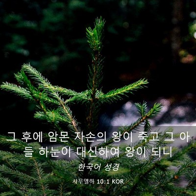 Picture 03 - 사무엘하 10:1 KOR - 그 후에 암몬 자손의 왕이 죽고 그 - Bible Verse Picture