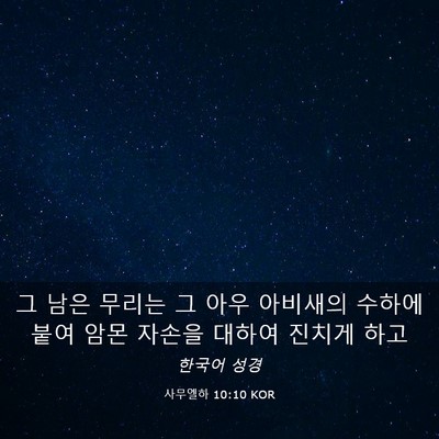 Picture 03 - 사무엘하 10:10 KOR - 그 남은 무리는 그 아우 아비새의 - Bible Verse Picture