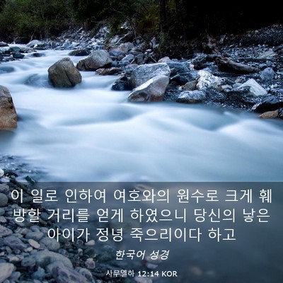 Picture 03 - 사무엘하 12:14 KOR - 이 일로 인하여 여호와의 원수로 - Bible Verse Picture