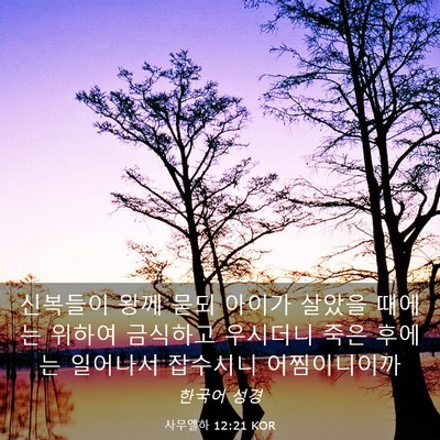 Picture 03 - 사무엘하 12:21 KOR - 신복들이 왕께 묻되 아이가 살았을 - Bible Verse Picture