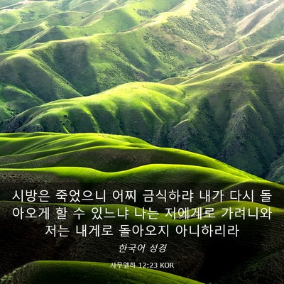 Picture 03 - 사무엘하 12:23 KOR - 시방은 죽었으니 어찌 금식하랴 내가 - Bible Verse Picture