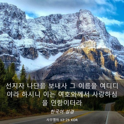 Picture 03 - 사무엘하 12:25 KOR - 선지자 나단을 보내사 그 이름을 - Bible Verse Picture