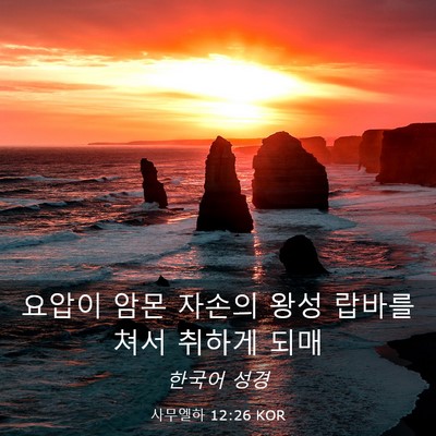 Picture 03 - 사무엘하 12:26 KOR - 요압이 암몬 자손의 왕성 랍바를 - Bible Verse Picture