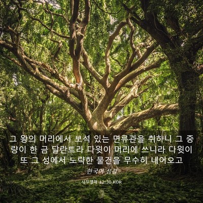Picture 03 - 사무엘하 12:30 KOR - 그 왕의 머리에서 보석 있는 - Bible Verse Picture