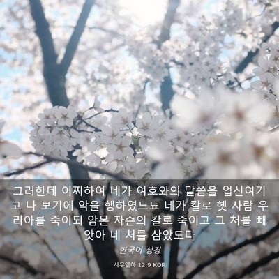 Picture 03 - 사무엘하 12:9 KOR - 그러한데 어찌하여 네가 여호와의 - Bible Verse Picture