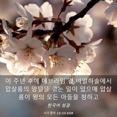 Picture 03 - 사무엘하 13:23 KOR - 이 주년 후에 에브라임 곁 - Bible Verse Picture