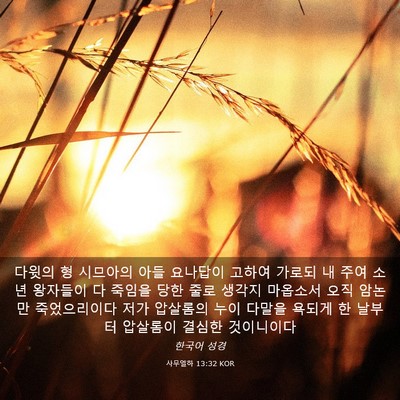 Picture 03 - 사무엘하 13:32 KOR - 다윗의 형 시므아의 아들 요나답이 - Bible Verse Picture