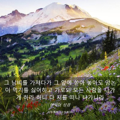 Picture 03 - 사무엘하 13:9 KOR - 그 남비를 가져다가 그 앞에 쏟아 - Bible Verse Picture