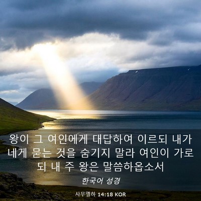 Picture 03 - 사무엘하 14:18 KOR - 왕이 그 여인에게 대답하여 이르되 - Bible Verse Picture