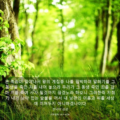 Picture 03 - 사무엘하 14:7 KOR - 온 족속이 일어나서 왕의 계집종 - Bible Verse Picture