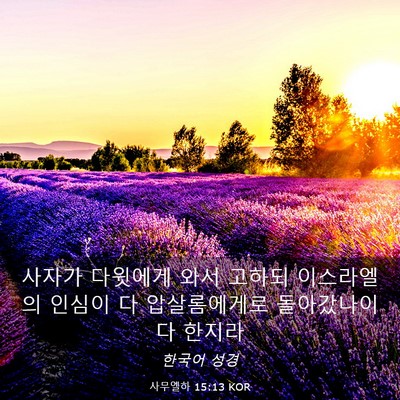 Picture 03 - 사무엘하 15:13 KOR - 사자가 다윗에게 와서 고하되 - Bible Verse Picture