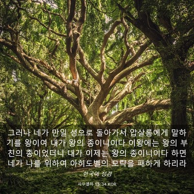 Picture 03 - 사무엘하 15:34 KOR - 그러나 네가 만일 성으로 돌아가서 - Bible Verse Picture