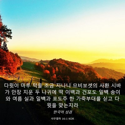 Picture 03 - 사무엘하 16:1 KOR - 다윗이 마루 턱을 조금 지나니 - Bible Verse Picture