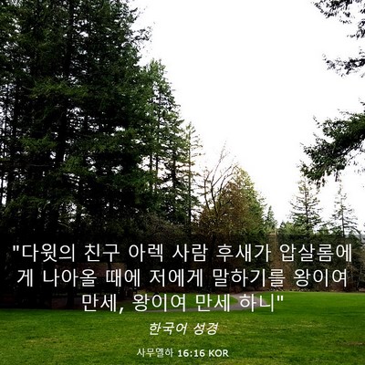 Picture 03 - 사무엘하 16:16 KOR - 