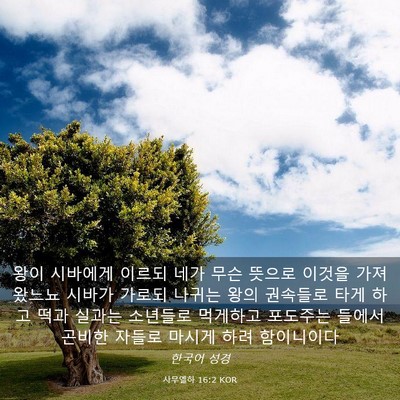 Picture 03 - 사무엘하 16:2 KOR - 왕이 시바에게 이르되 네가 무슨 - Bible Verse Picture
