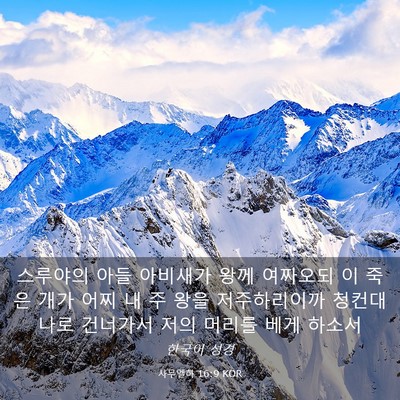 Picture 03 - 사무엘하 16:9 KOR - 스루야의 아들 아비새가 왕께 - Bible Verse Picture