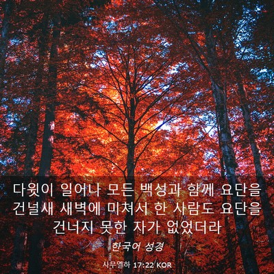 Picture 03 - 사무엘하 17:22 KOR - 다윗이 일어나 모든 백성과 함께 - Bible Verse Picture