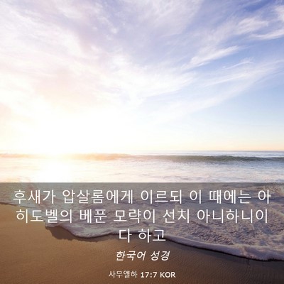 Picture 03 - 사무엘하 17:7 KOR - 후새가 압살롬에게 이르되 이 때에는 - Bible Verse Picture