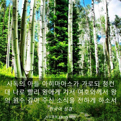 Picture 03 - 사무엘하 18:19 KOR - 사독의 아들 아히마아스가 가로되 - Bible Verse Picture