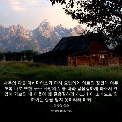 Picture 03 - 사무엘하 18:22 KOR - 사독의 아들 아히마아스가 다시 - Bible Verse Picture