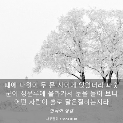 Picture 03 - 사무엘하 18:24 KOR - 때에 다윗이 두 문 사이에 앉았더라 - Bible Verse Picture