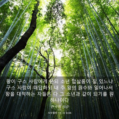 Picture 03 - 사무엘하 18:32 KOR - 왕이 구스 사람에게 묻되 소년 - Bible Verse Picture