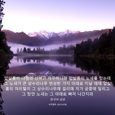 Picture 03 - 사무엘하 18:9 KOR - 압살롬이 다윗의 신복과 마주치니라 - Bible Verse Picture