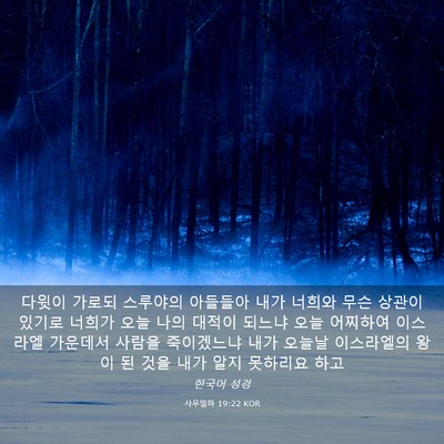 Picture 03 - 사무엘하 19:22 KOR - 다윗이 가로되 스루야의 아들들아 - Bible Verse Picture