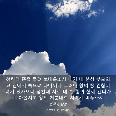 Picture 03 - 사무엘하 19:37 KOR - 청컨대 종을 돌려 보내옵소서 내가 - Bible Verse Picture
