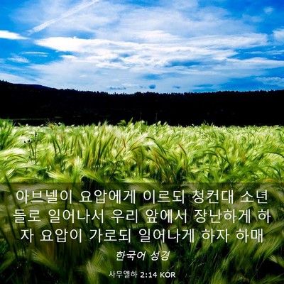 Picture 03 - 사무엘하 2:14 KOR - 아브넬이 요압에게 이르되 청컨대 - Bible Verse Picture