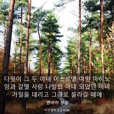 Picture 03 - 사무엘하 2:2 KOR - 다윗이 그 두 아내 이스르엘 여인 - Bible Verse Picture