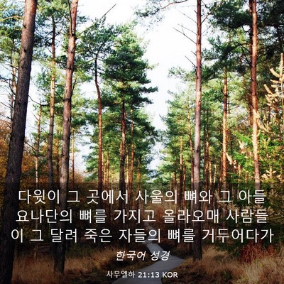 Picture 03 - 사무엘하 21:13 KOR - 다윗이 그 곳에서 사울의 뼈와 그 - Bible Verse Picture