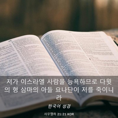 Picture 03 - 사무엘하 21:21 KOR - 저가 이스라엘 사람을 능욕하므로 - Bible Verse Picture