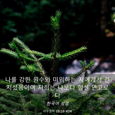 Picture 03 - 사무엘하 22:18 KOR - 나를 강한 원수와 미워하는 자에게서 - Bible Verse Picture
