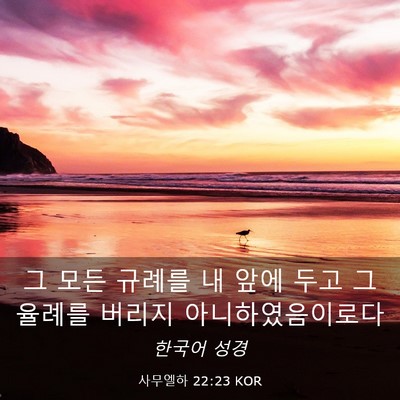 Picture 03 - 사무엘하 22:23 KOR - 그 모든 규례를 내 앞에 두고 그 - Bible Verse Picture