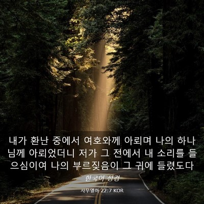 Picture 03 - 사무엘하 22:7 KOR - 내가 환난 중에서 여호와께 아뢰며 - Bible Verse Picture