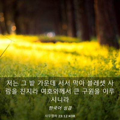 Picture 03 - 사무엘하 23:12 KOR - 저는 그 밭 가운데 서서 막아 블레셋 - Bible Verse Picture