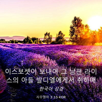 Picture 03 - 사무엘하 3:15 KOR - 이스보셋이 보내어 그 남편 라이스의 - Bible Verse Picture