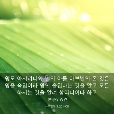 Picture 03 - 사무엘하 3:25 KOR - 왕도 아시려니와 넬의 아들 아브넬의 - Bible Verse Picture