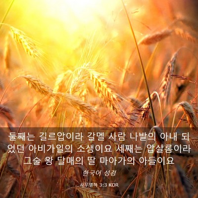 Picture 03 - 사무엘하 3:3 KOR - 둘째는 길르압이라 갈멜 사람 나발의 - Bible Verse Picture