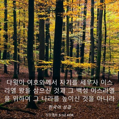 Picture 03 - 사무엘하 5:12 KOR - 다윗이 여호와께서 자기를 세우사 - Bible Verse Picture